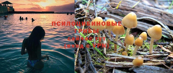 круглые Кукмор